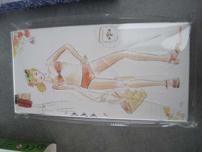 Fashion box neuve 5 planches de stylisme bohème Sycomore - photo numéro 9