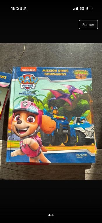 Livre pat patrouille