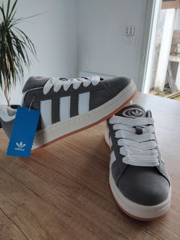 Baskets campus adidas grise