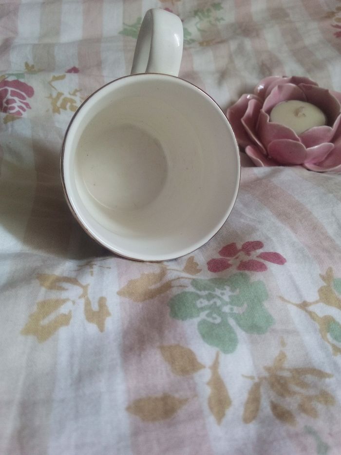 Tasse marque ostaria - photo numéro 2
