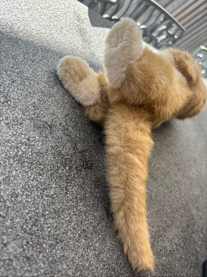 Peluche suricate - photo numéro 5