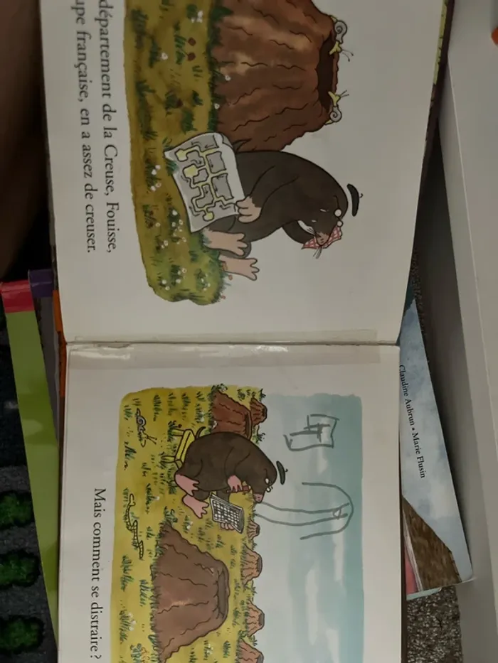La taupe et la taupe - photo numéro 4