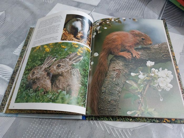 Livre Les bébés animaux 1987 - photo numéro 2