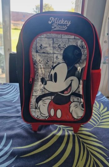 Sac Mickey