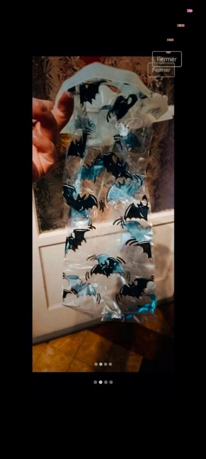 Sorcière halloween - photo numéro 3