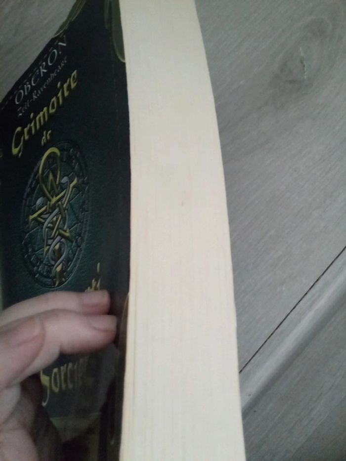 Grimoire de l'apprenti sorcier - photo numéro 2