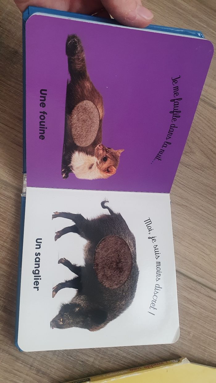 Livre les animaux de la nuit - photo numéro 3