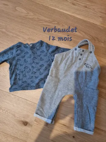 Salopette et t shirt dinosaure 12 mois