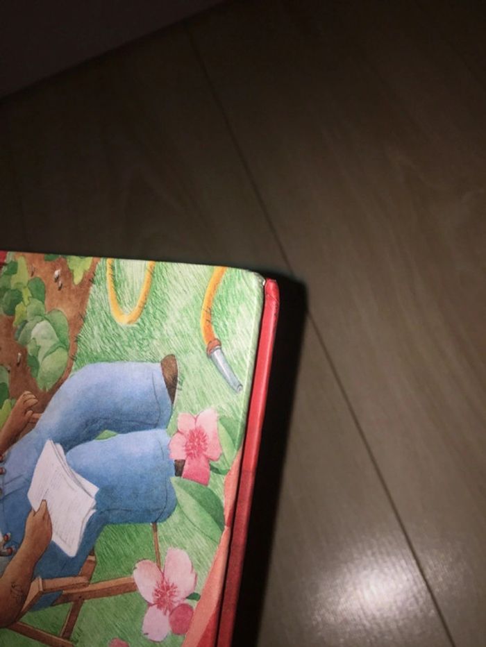Livre 📖 le jardin de tonio petit à petit 5€ - photo numéro 11