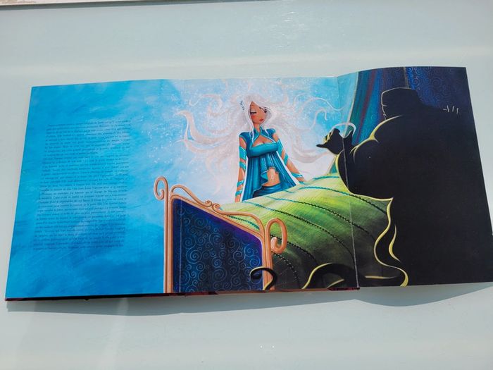 Très beau livre grand format Magiciennes du Monde (64) - photo numéro 11