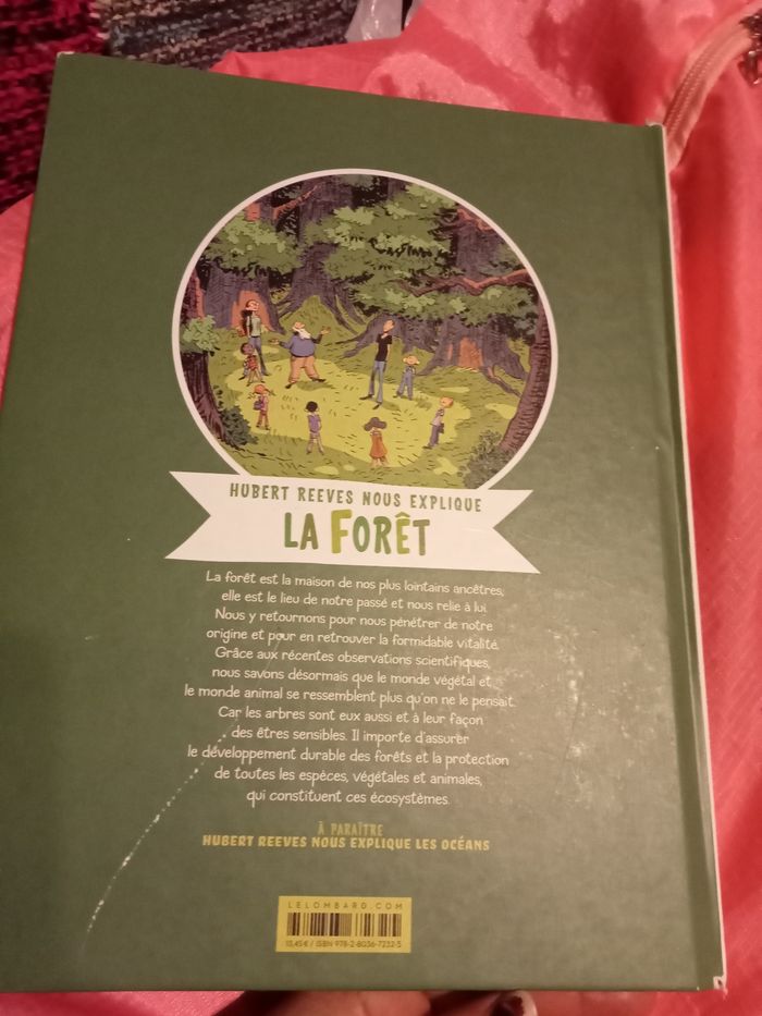 La forêt (S.U) - photo numéro 6