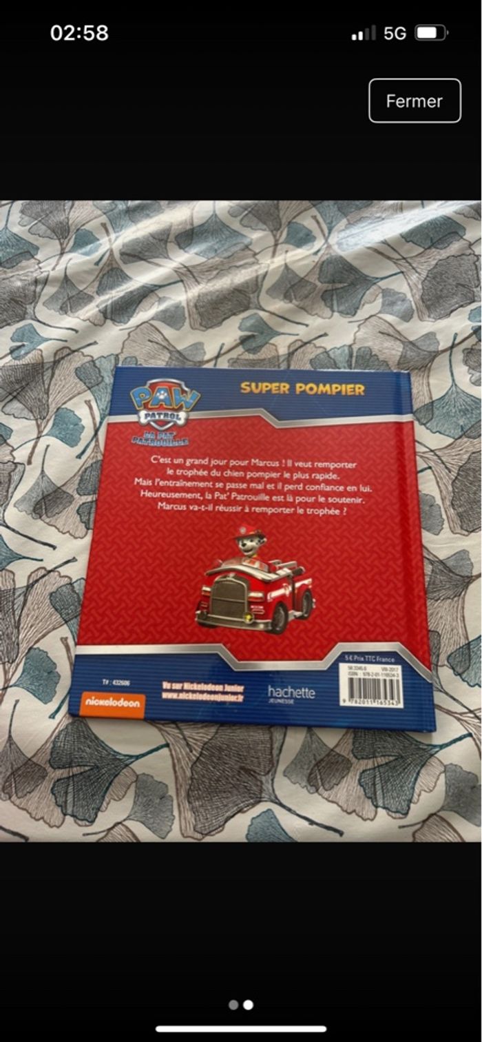 Livres  Pat Patrouille - photo numéro 4