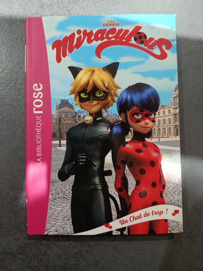 Miraculous 2un Chat de trop