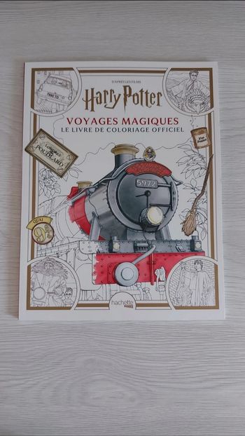 Livre de coloriage Harry Potter neuf