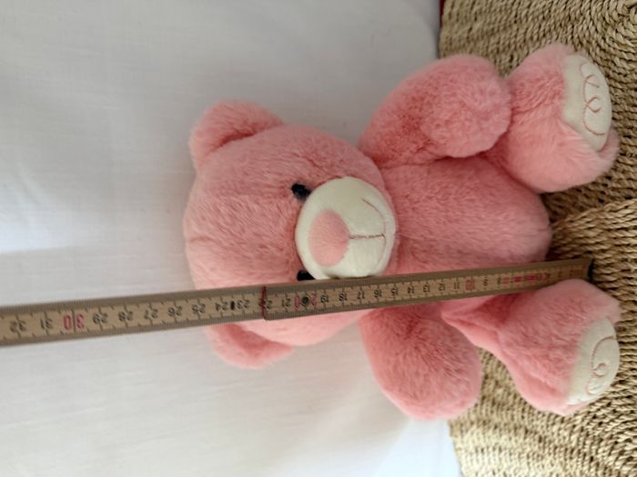 Ourson My sweet teddy rose - photo numéro 2