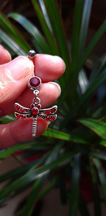 Piercing nombril libellule neuf