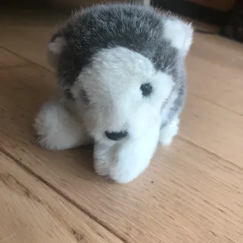 Petite peluche Husky (reduction automatique jusque -25%)