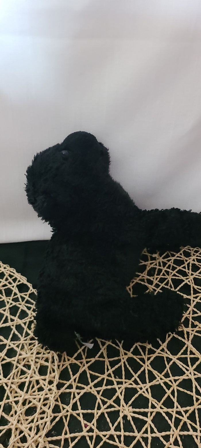 doudou panthère , chien noir dani - photo numéro 2