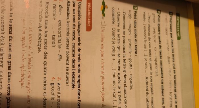 Livre scolaire Maîtrise de la langue française ce2 - photo numéro 3