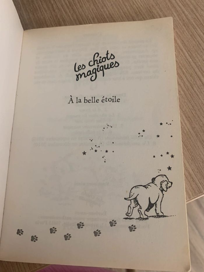Livre les chiots magiques - photo numéro 6