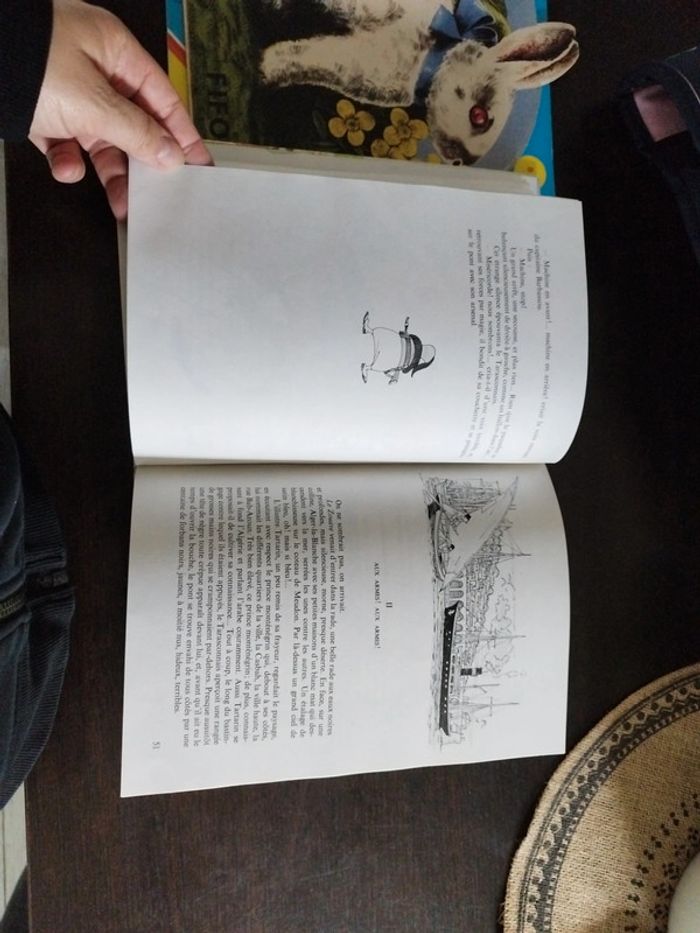 Livre Tartarin de Tarascon - photo numéro 6