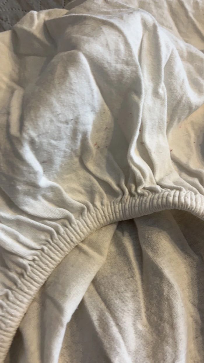 Drap lit - photo numéro 2