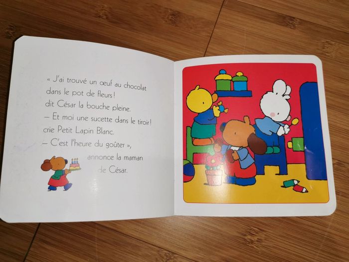 Petit Lapin Blanc est un coquin - photo numéro 12