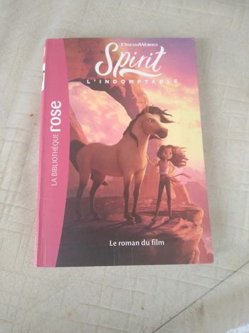 Spirit bibliothèque rose