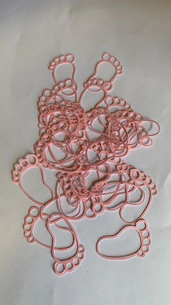 Scrapbooking 35 pieds roses