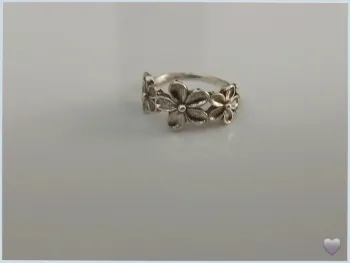 Bague en acier inoxydable