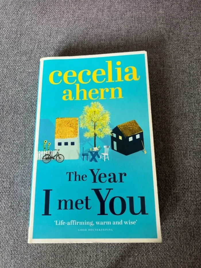 Livre en anglais In the year I met you