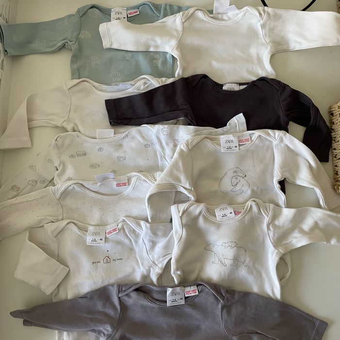 Lot bodies