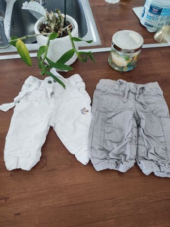 Lot pantalon baroudeur