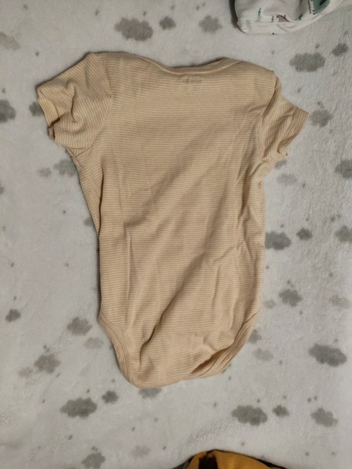 Body 12 mois manche courte - photo numéro 3