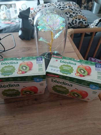 COMPOTE POMME KIWI ACEROLA BLEDINA