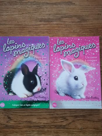 Lot 2  livres "  Les lapins magiques"