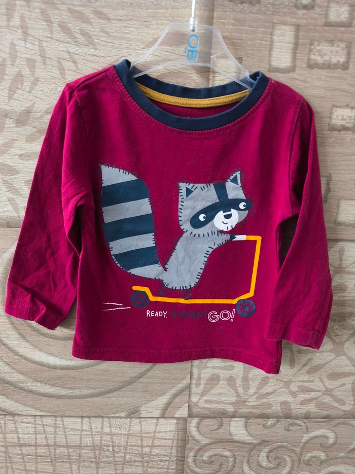 Tee shirt raton laveur