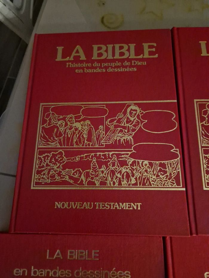 Histoire du peuple de dieu en BD. - photo numéro 4