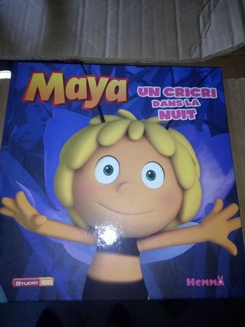 Livre maya