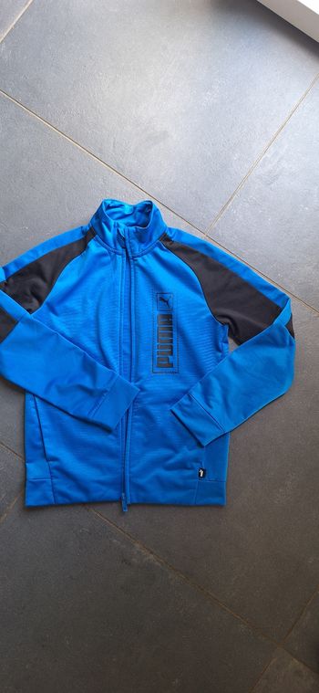 Veste puma