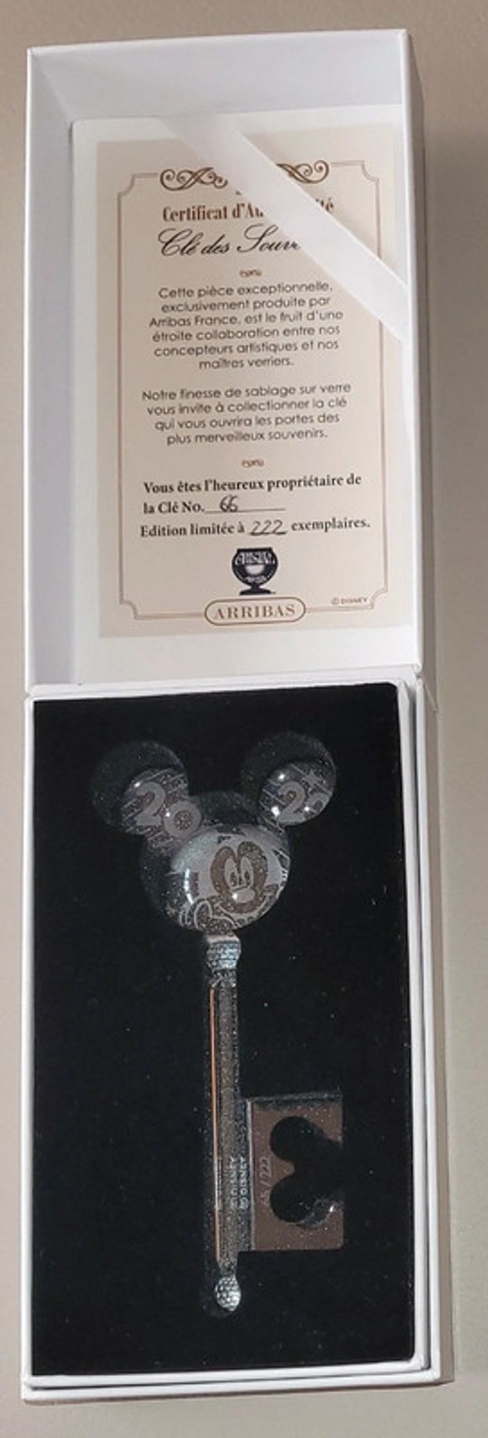 Cle llave key arribas mickey 2022 disney - photo numéro 5