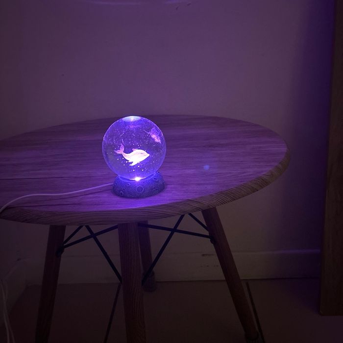 Boule De Cristal Dauphin En Verre - photo numéro 4