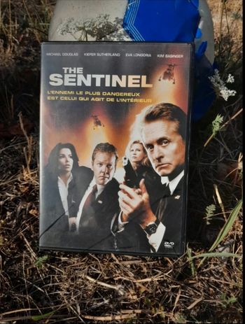 DVD adulte