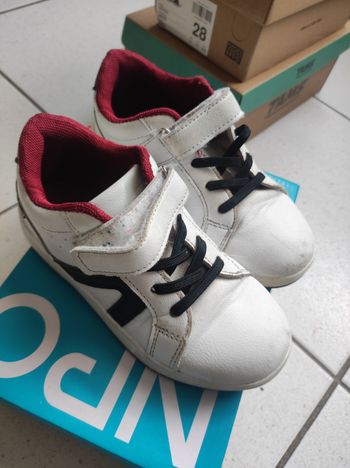 Basket 29