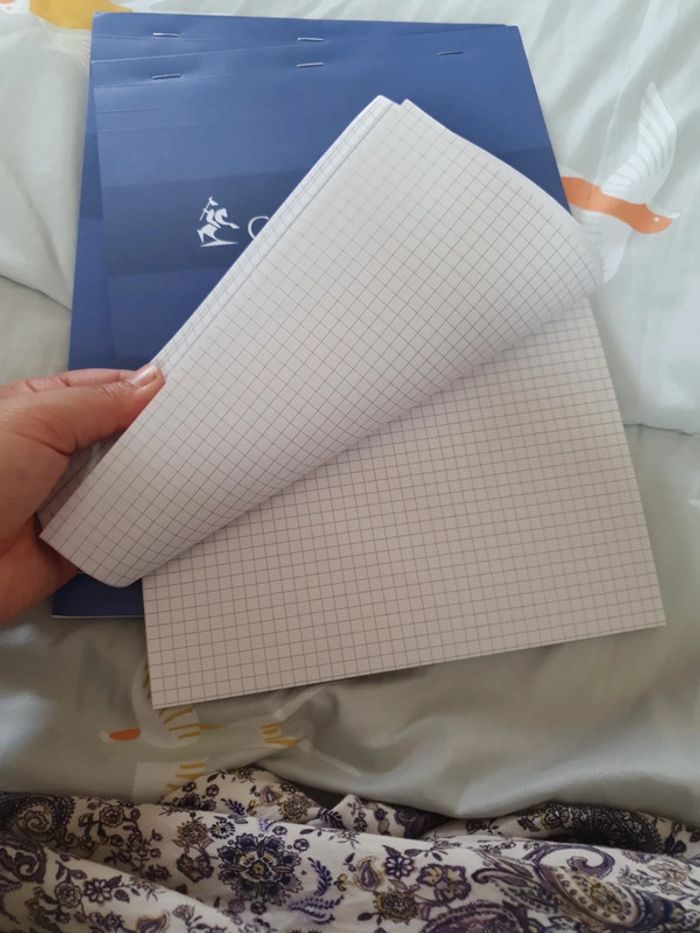Lot de 2 bloc notes A4 conquérant - photo numéro 5