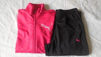 Ensemble Puma