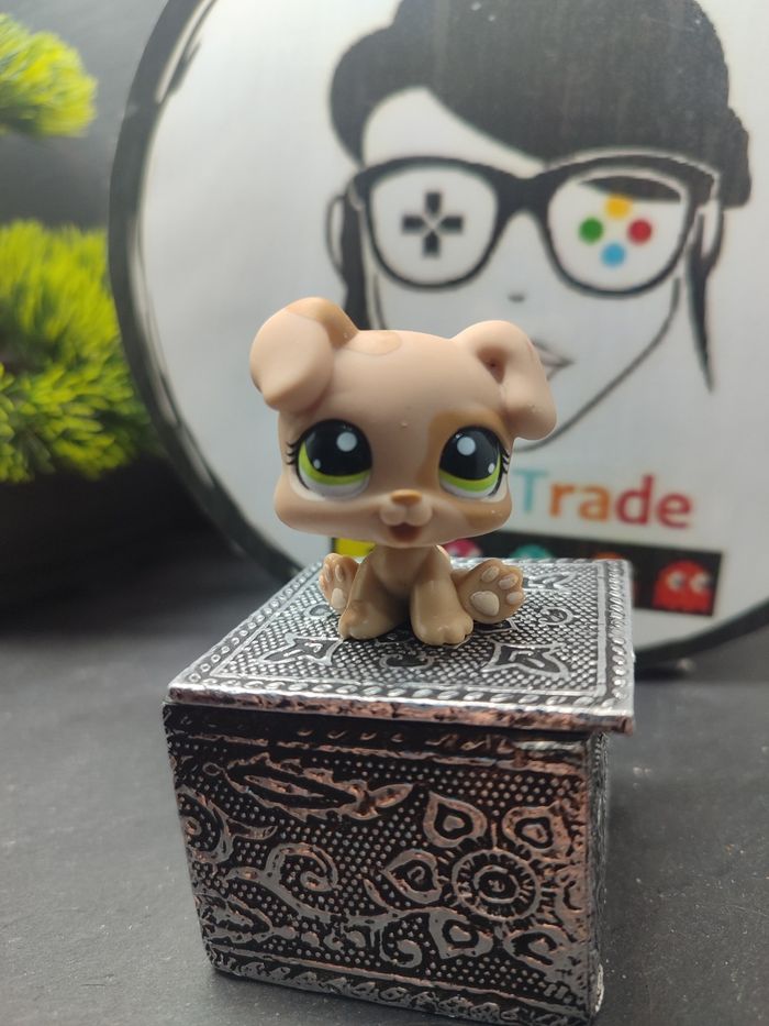 Lps01133 My Littlest Petshop Pet Shop LPS Hasbro Chiot Puppy Boxer Dog 1353