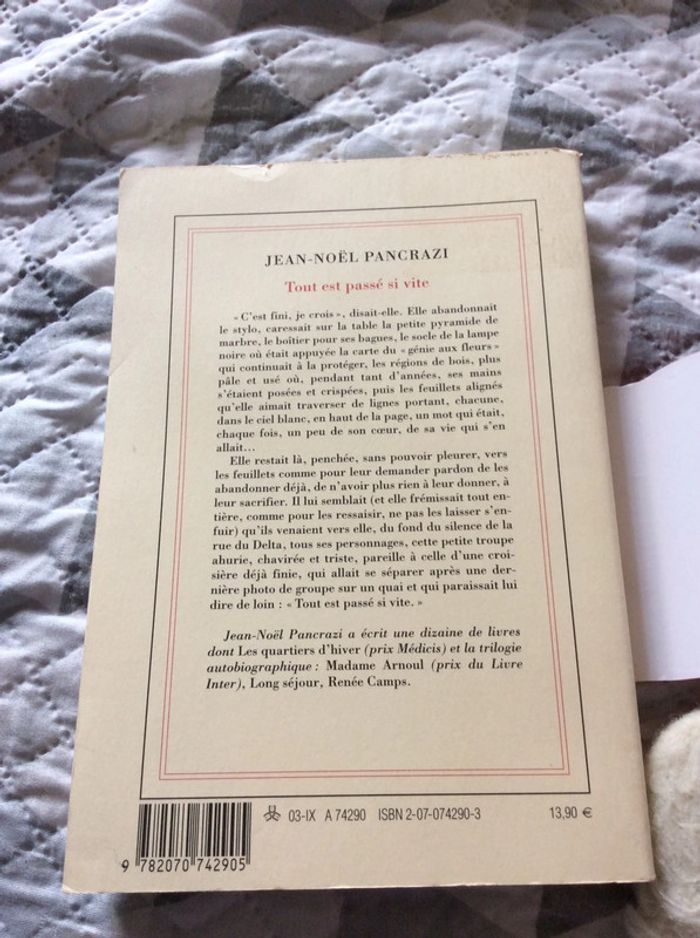 #tout est passé si vite Jean Noel Pancrazi - photo numéro 4