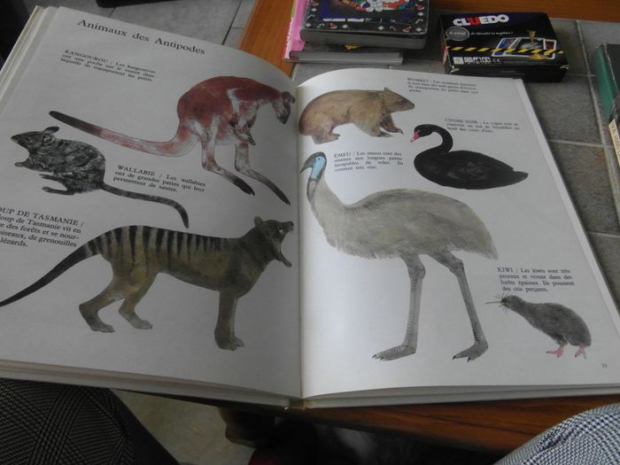 livre d'animaux - photo numéro 2