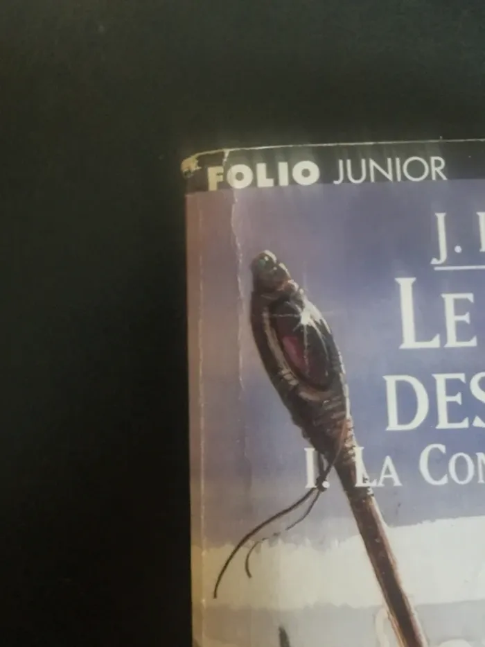 Livre le seigneur des anneaux 1 la communauté de l'anneau. - photo numéro 7